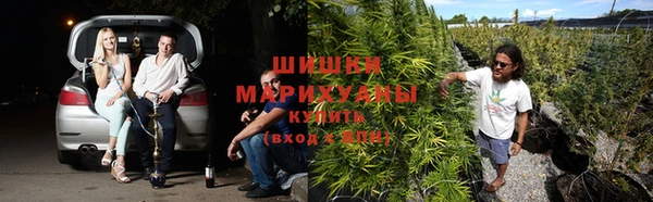 spice Балахна
