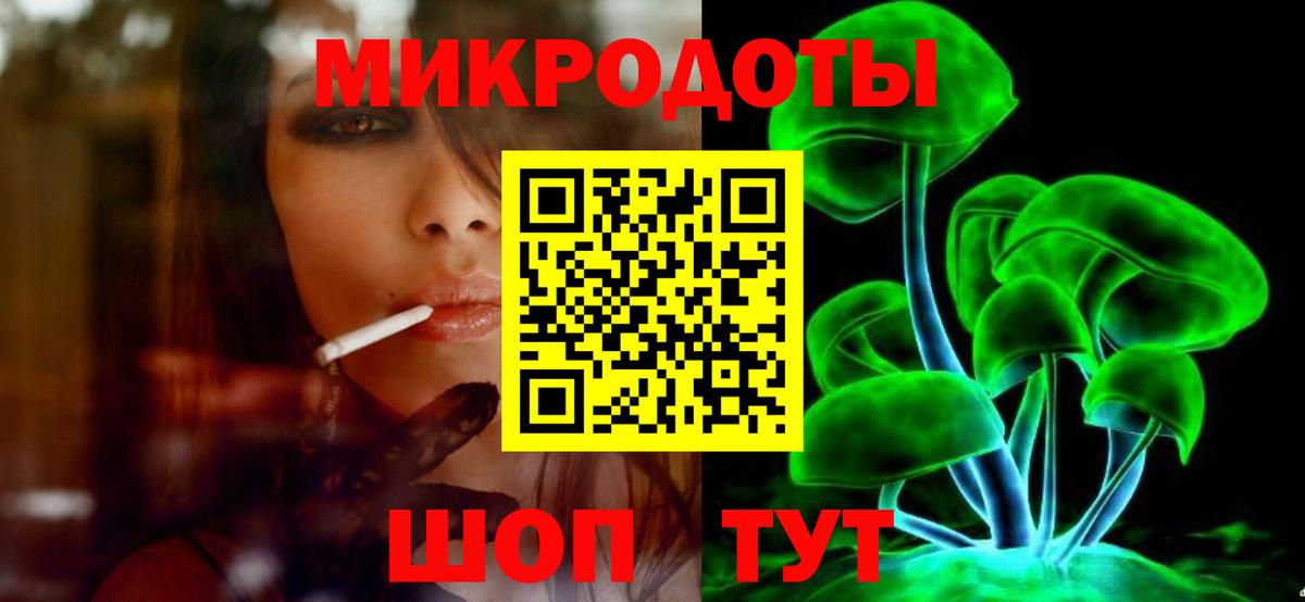 Псилоцибиновые грибы Psilocybe Армавир