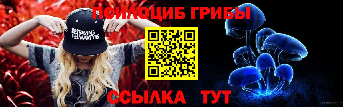 Галлюциногенные грибы Psilocybine cubensis  Псилоцибиновые грибы Cubensis  Вход с VPN  Армавир 